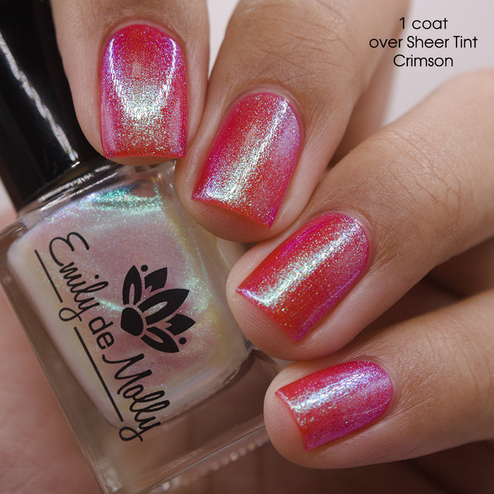 Transport - PREORDER