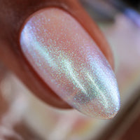 Transport - PREORDER