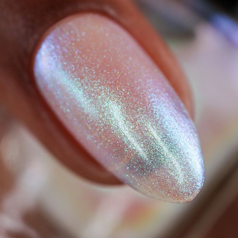 Transport - PREORDER