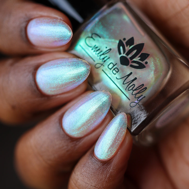 Transport - PREORDER